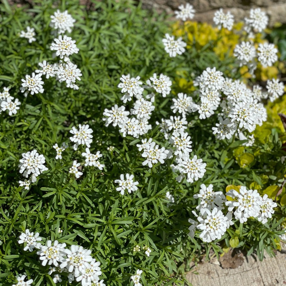 Meet your Posher, Brianne